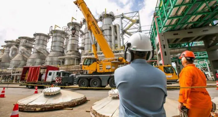 Veracel divulga edital para contratação de Analista de Geoprocessamento Jr 