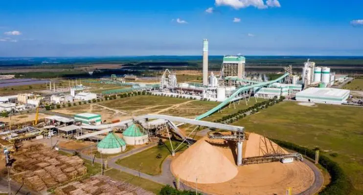 Veracel divulga edital para contratação de Compradora ou Comprador Pleno