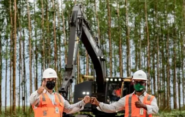 Veracel divulga edital para contratação de Técnico Manutenção de Equipamentos Florestais