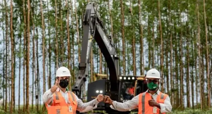 Veracel divulga edital para contratação de Técnico Manutenção de Equipamentos Florestais