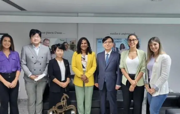 Vice-Governadoria realiza encontro com representantes da Coreia do Sul