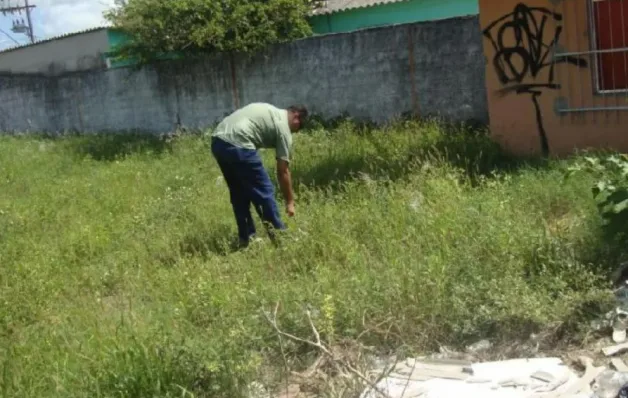 Vigilância ambiental na Serra alerta para riscos do caramujo africano