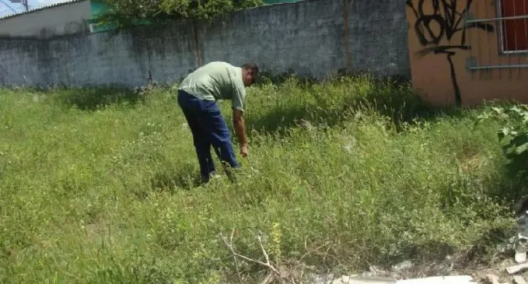 Vigilância ambiental na Serra alerta para riscos do caramujo africano
