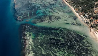VII Fórum de Sustentabilidade celebra Baía de Todos os Santos com debate sobre ações socioambientais na região