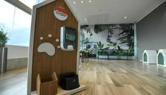 Vila Velha ganha a primeira praça de alimentação pet do Espírito Santo