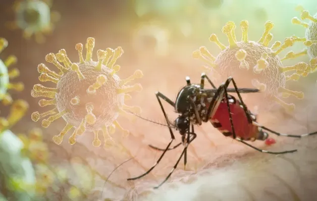 Vírus da chikungunya afeta crianças e adolescentes e deixa sequelas