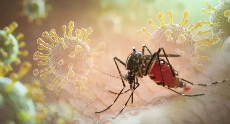 Vírus da chikungunya afeta crianças e adolescentes e deixa sequelas
