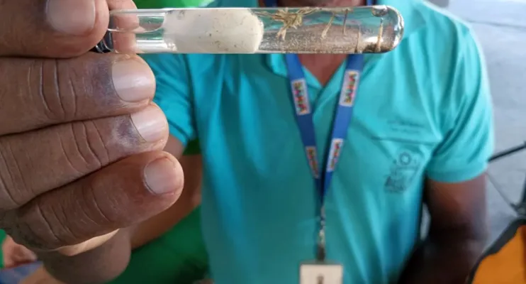 Vitória da Conquista lidera o número de casos e mortes por Dengue na Bahia
